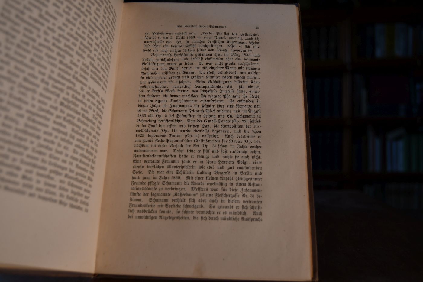 Ein Lebensbild Robert Schumann`s.