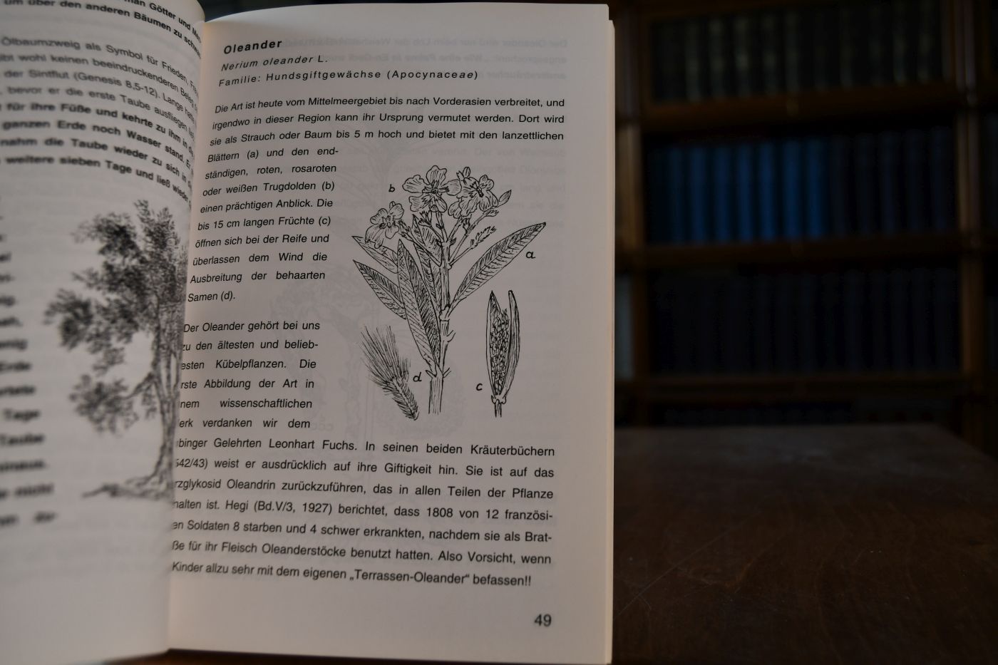 Pflanzen der Bibel.