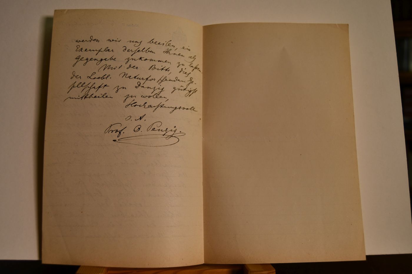 Handschriftliches Schreiben des deutsch-italienischen Botanikers Albert Julius Otto Penzig (auch Albertus Giulio Ottone Penzig 1856-1929) vom 16. Dezember 1883 an den Danziger Lehrer und Botaniker Konrad Lakowitz (1859-1938).