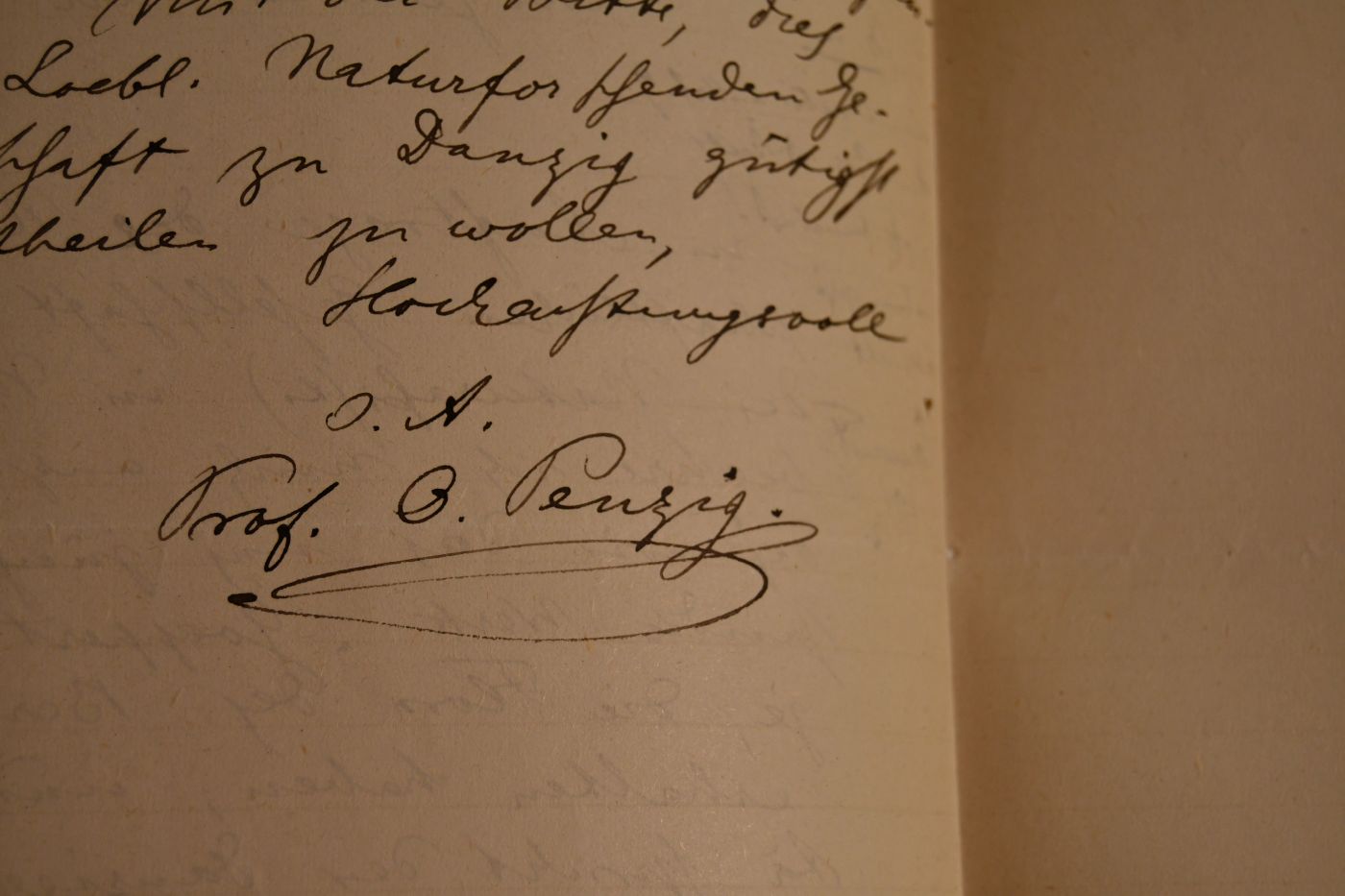 Handschriftliches Schreiben des deutsch-italienischen Botanikers Albert Julius Otto Penzig (auch Albertus Giulio Ottone Penzig 1856-1929) vom 16. Dezember 1883 an den Danziger Lehrer und Botaniker Konrad Lakowitz (1859-1938).