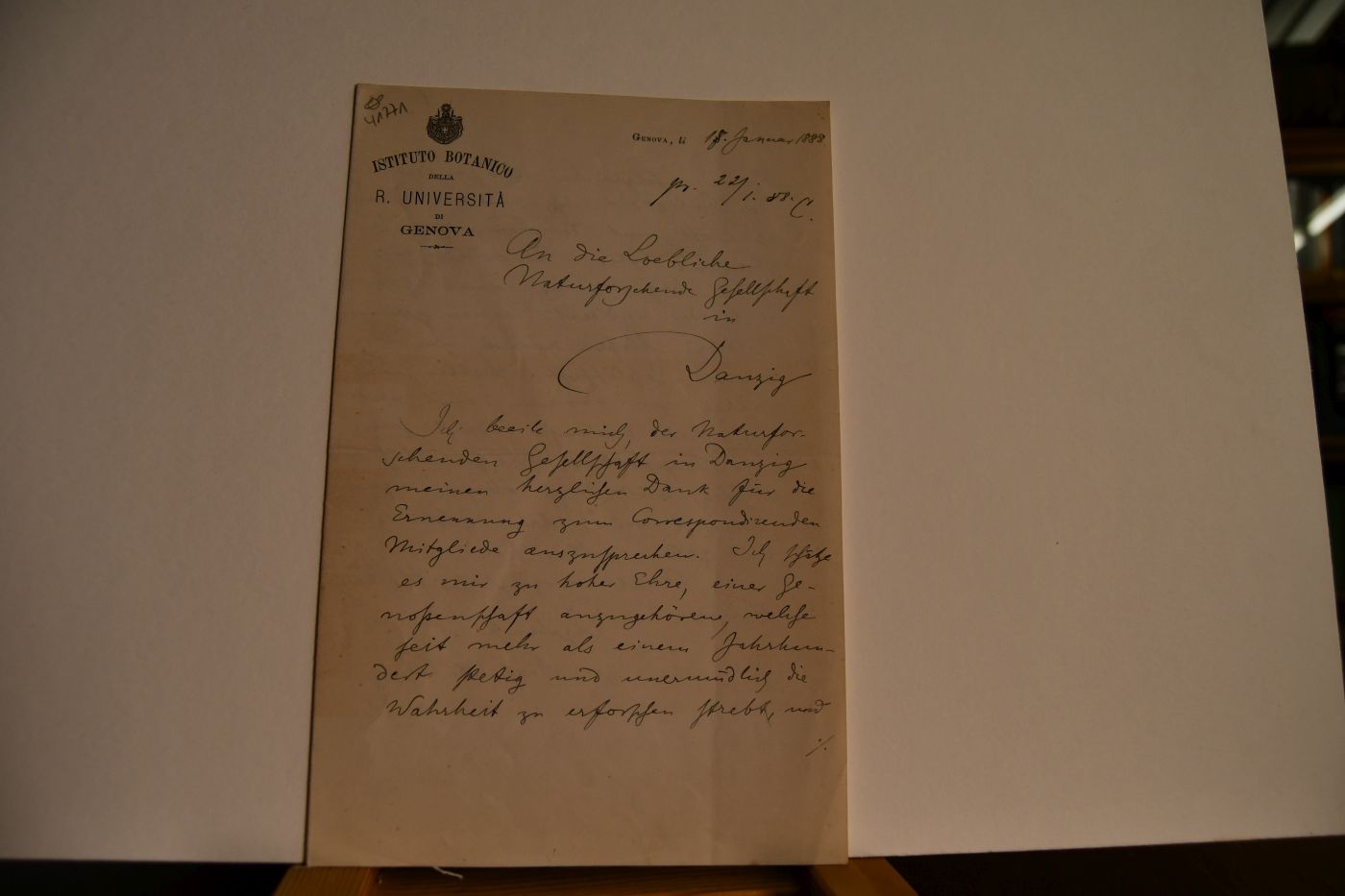 Handschriftliches Schreiben des deutsch-italienischen Botanikers Albert Julius Otto Penzig (auch Albertus Giulio Ottone Penzig 1856-1929) vom 18. Januar 1888 an den Danziger Lehrer und Botaniker Konrad Lakowitz (1859-1938).