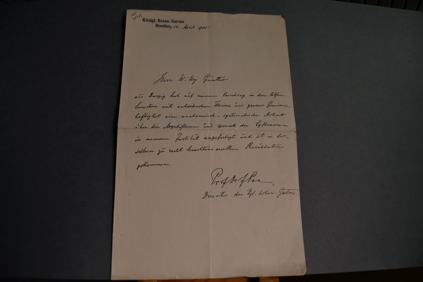 Handschriftlicher Studiennachweis des deutschen Zoologen Ferdinand Albert Pax ( 1885-1964) vom 14. April 1905 für den Studenten Willy Günther aus Danzig.