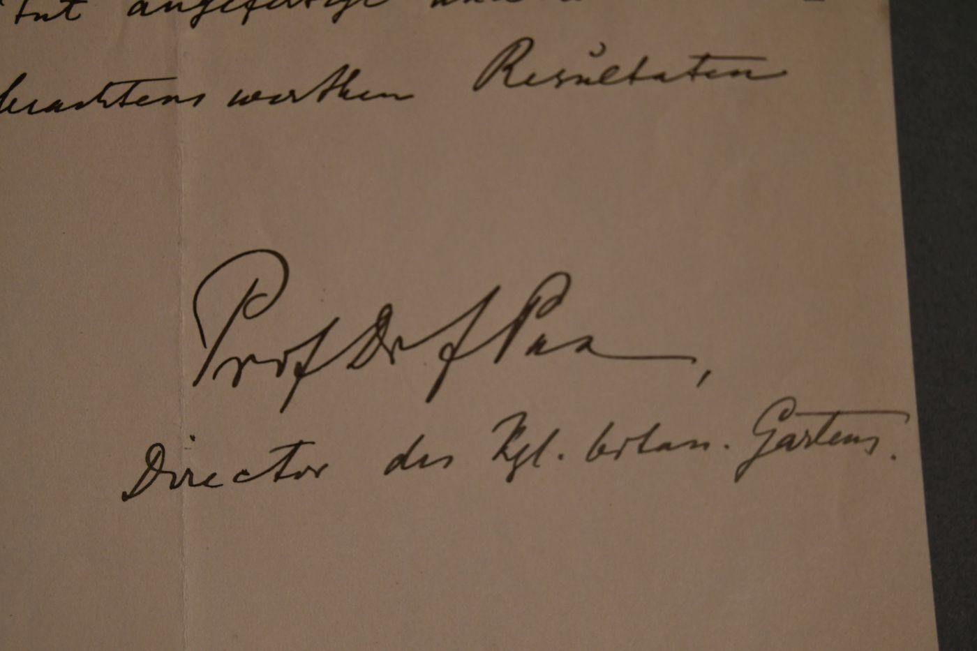 Handschriftlicher Studiennachweis des deutschen Zoologen Ferdinand Albert Pax ( 1885-1964) vom 14. April 1905 für den Studenten Willy Günther aus Danzig.