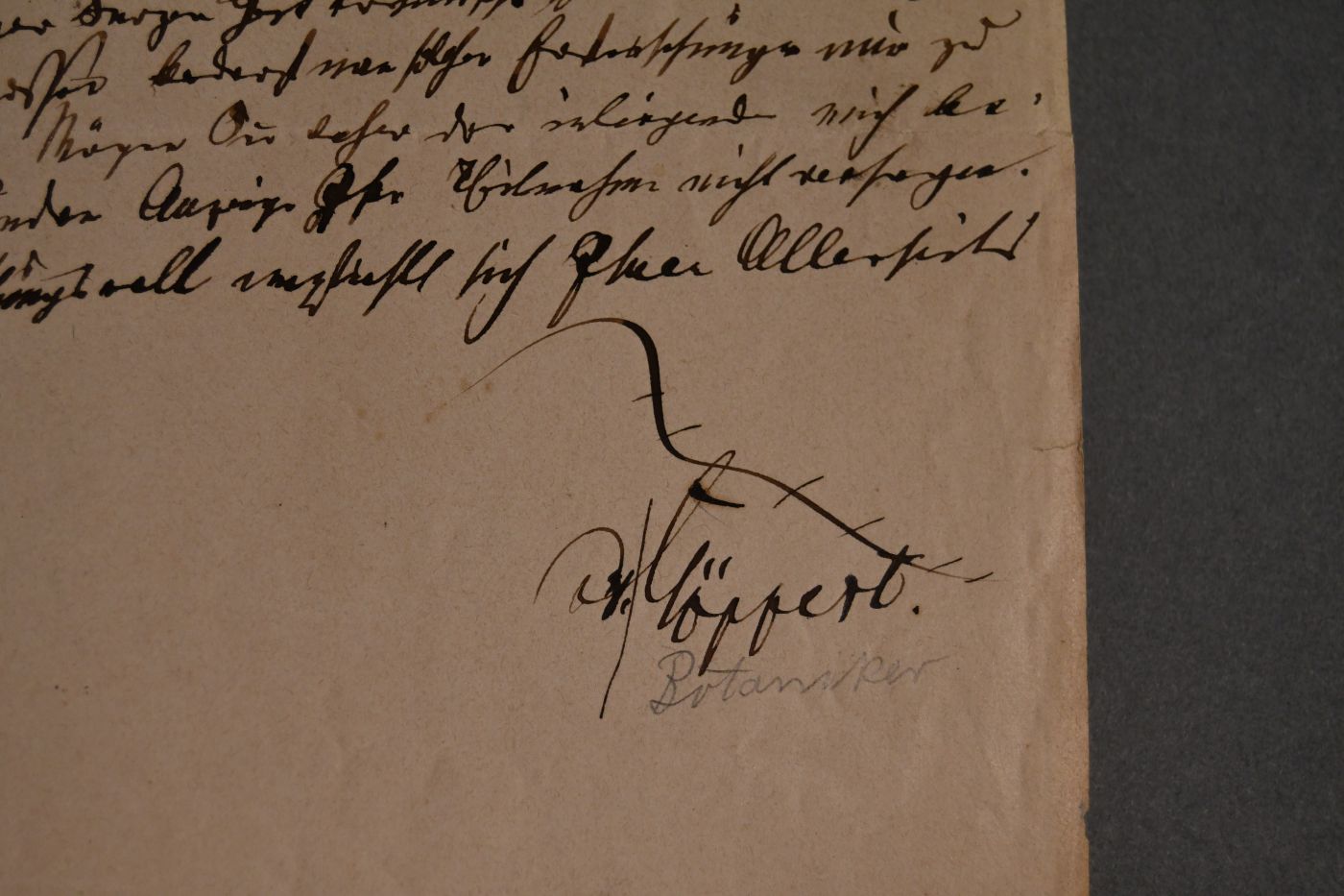 Brief des deutschen Botanikers Johann Heinrich Robert Göppert (1800-1884) an die Naturforschenden Gesellschaft Danzig vom 8. März 1883.