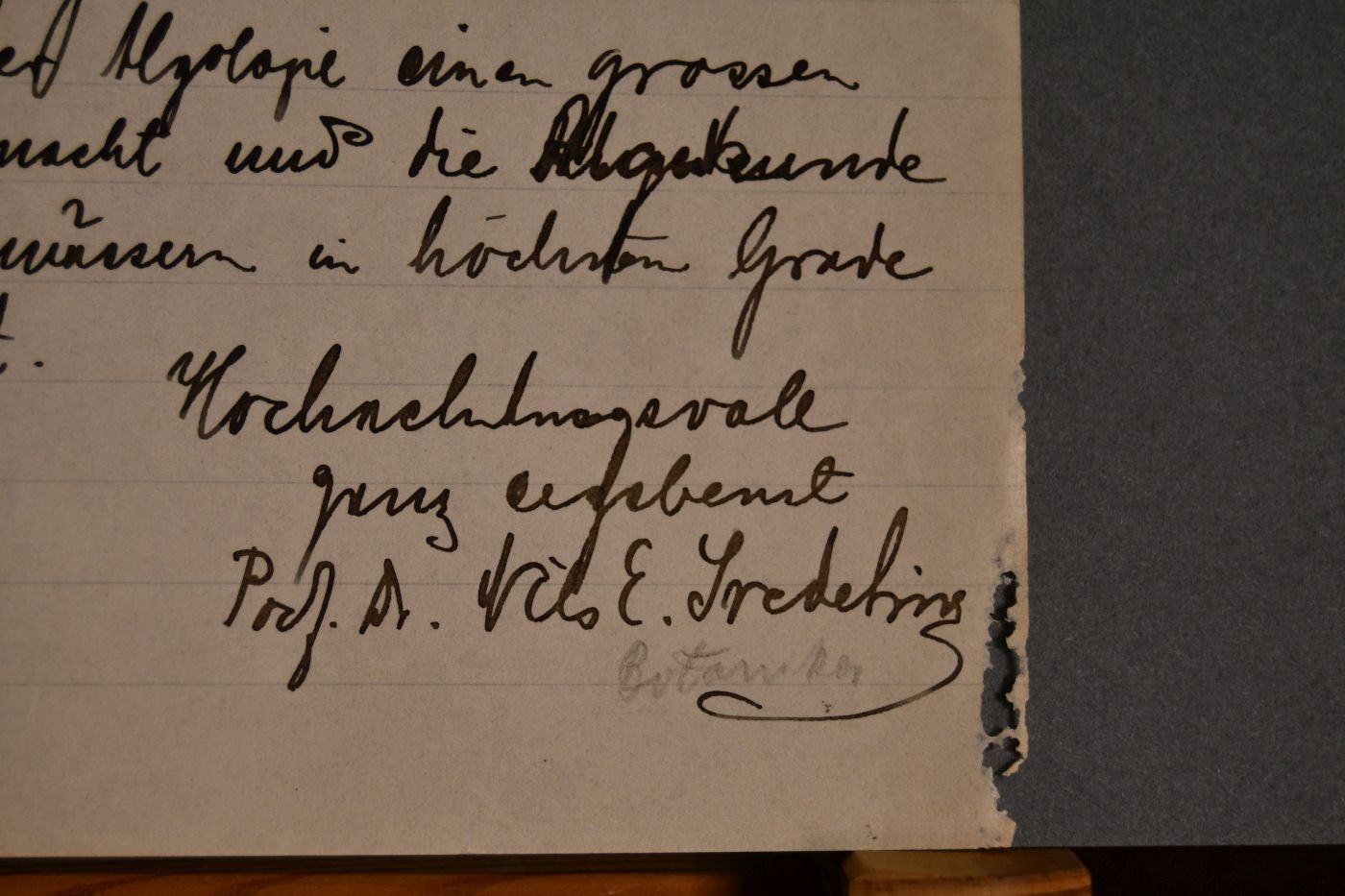 Handschriftlicher Brief des schwedischen Botanikers und Algenexperten Nils E. Svedelius (1873-1960) an den Danziger Lehrer und Botaniker Konrad Lakowitz (1859-1945) vom 1. November 1929.