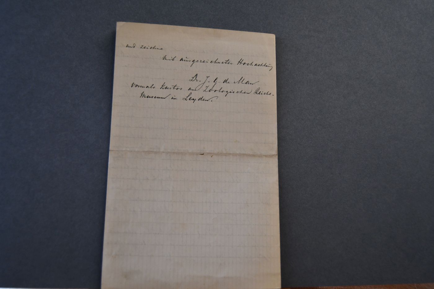 Handschriftlicher Brief des niederländischen Biologen Johannes Govertus de Man (1850-1930) an den Danziger Lehrer und Botaniker Konrad Lakowitz (1859-1945) vom 23. Juli 1914.