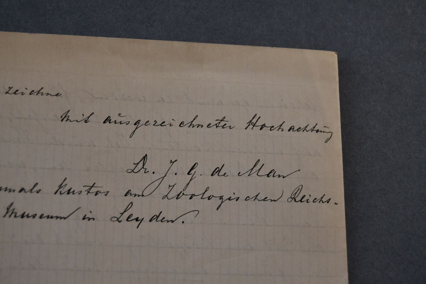 Handschriftlicher Brief des niederländischen Biologen Johannes Govertus de Man (1850-1930) an den Danziger Lehrer und Botaniker Konrad Lakowitz (1859-1945) vom 23. Juli 1914.