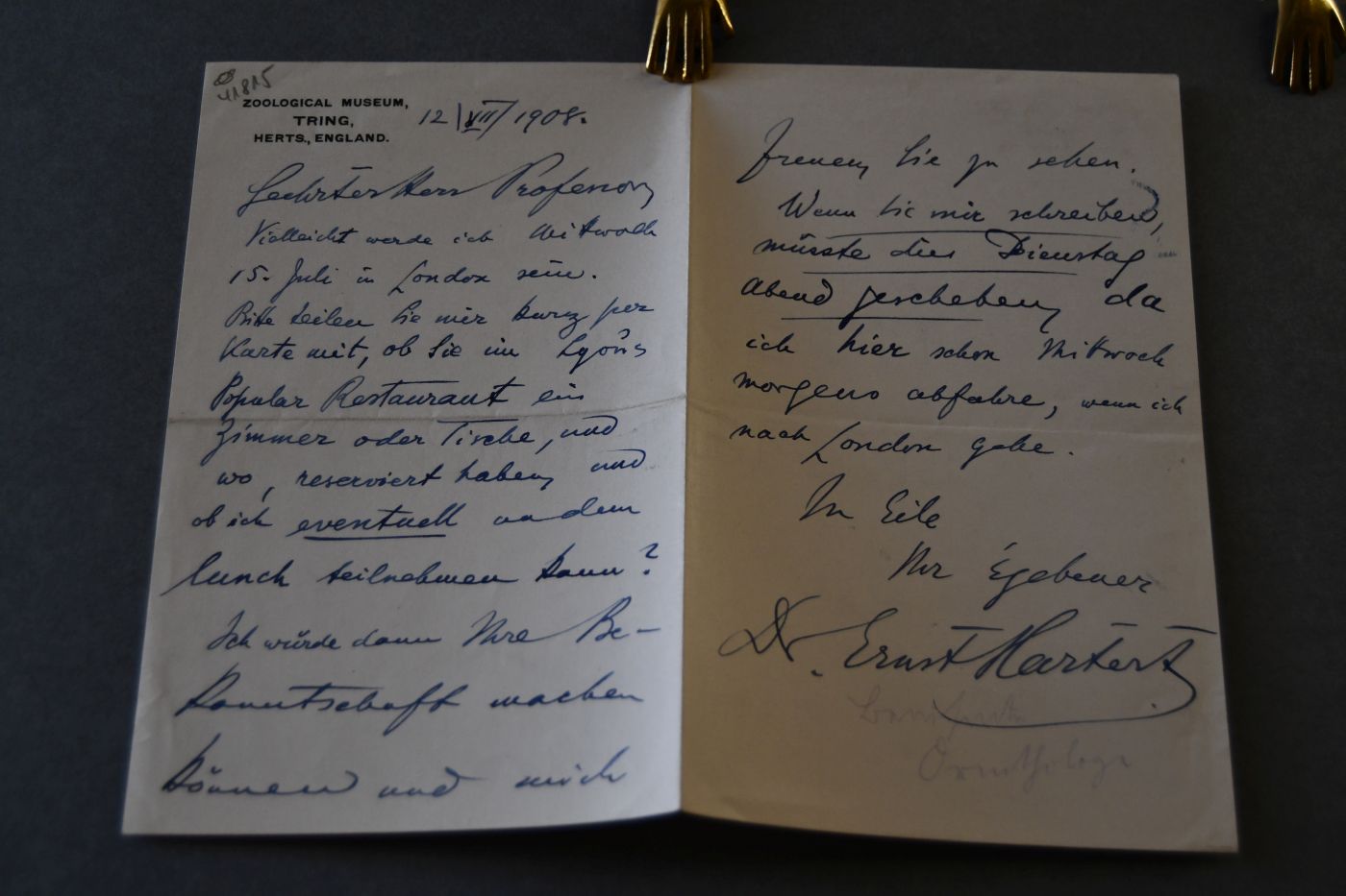 Brief des deutschen Ornithologen Ernst Hartert (1859-1933) an den Danziger Lehrer und Botaniker Konrad Lakowitz(1859-1945) vom 12. Juli 1908.