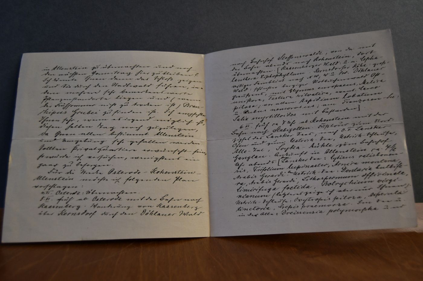 Handschriftliches Schreiben von Hugo Otto Gross, Botaniker (1888-1968) vom 2. Februar 1925 an den Danziger Lehrer und Botaniker Konrad Lakowitz (1859-1938).