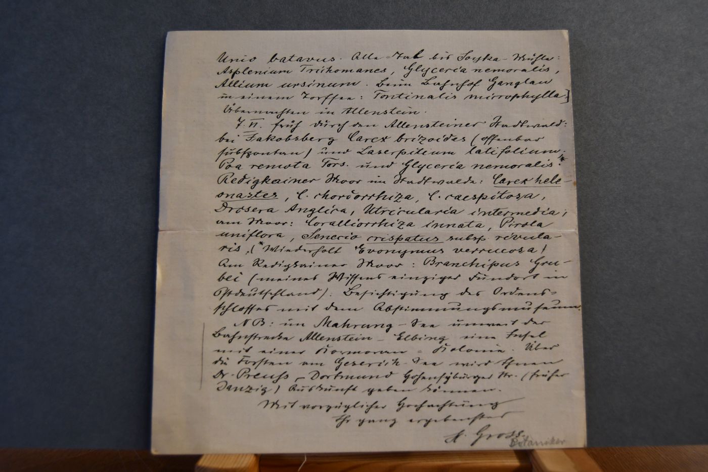 Handschriftliches Schreiben von Hugo Otto Gross, Botaniker (1888-1968) vom 2. Februar 1925 an den Danziger Lehrer und Botaniker Konrad Lakowitz (1859-1938).