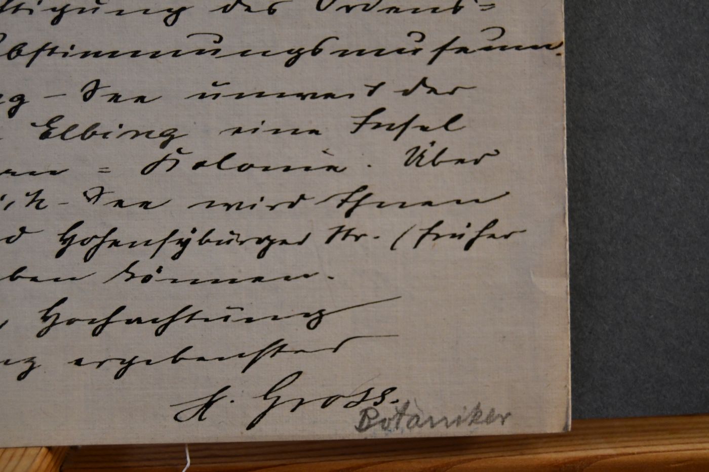 Handschriftliches Schreiben von Hugo Otto Gross, Botaniker (1888-1968) vom 2. Februar 1925 an den Danziger Lehrer und Botaniker Konrad Lakowitz (1859-1938).