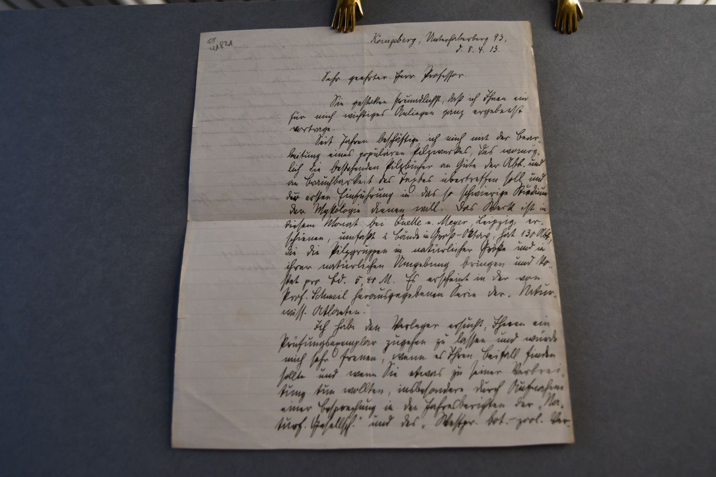 Handschriftliches Schreiben von Eugen Gramberg, Lehrer und Mykologe (1865-1945) vom 8. April 1913 an den Danziger Lehrer und Botaniker Konrad Lakowitz (1859-1938).