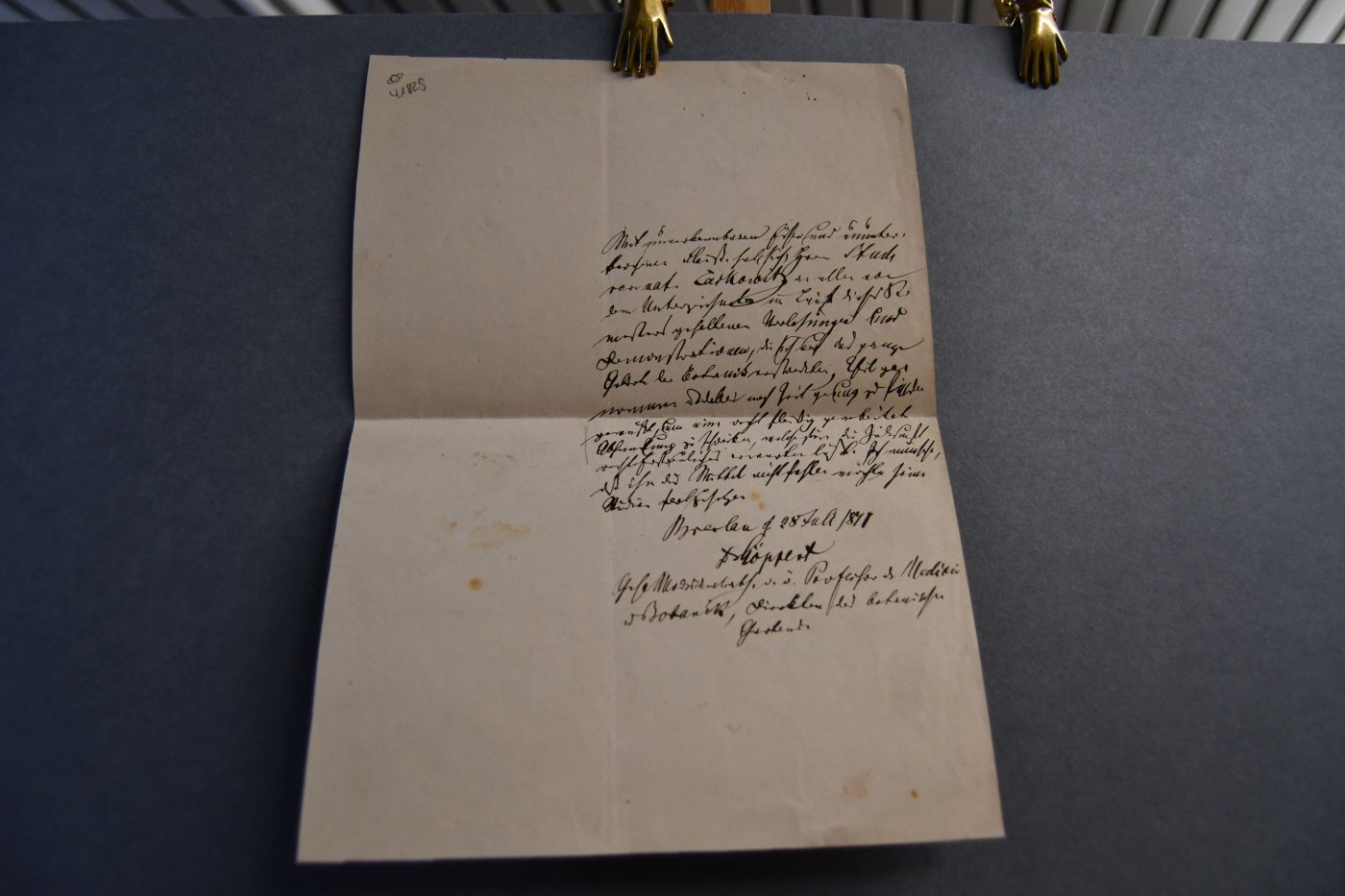 Handschriftliche Studienbescheinigung des deutschen Botanikers Johann Heinrich Robert Göppert (1800-1884) für Stud. rer. nat Lakowitz vom 28. Juli 1871.