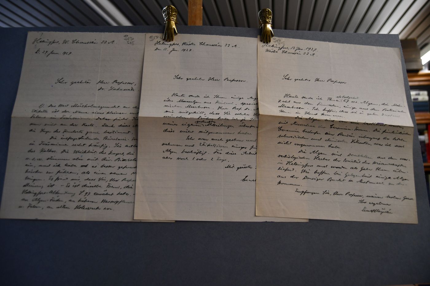 Handschriftliches Schreiben des finnischen Botanikers Ernst Häyren (1878-1957) vom 27. Januar 1927 an den Danziger Lehrer und Botaniker Konrad Lakowitz (1859-1938). Beiliegend 2 1-seitige handschriftliche Briefe an denselben Empfänger vom 11. + 13. Januar 1927.