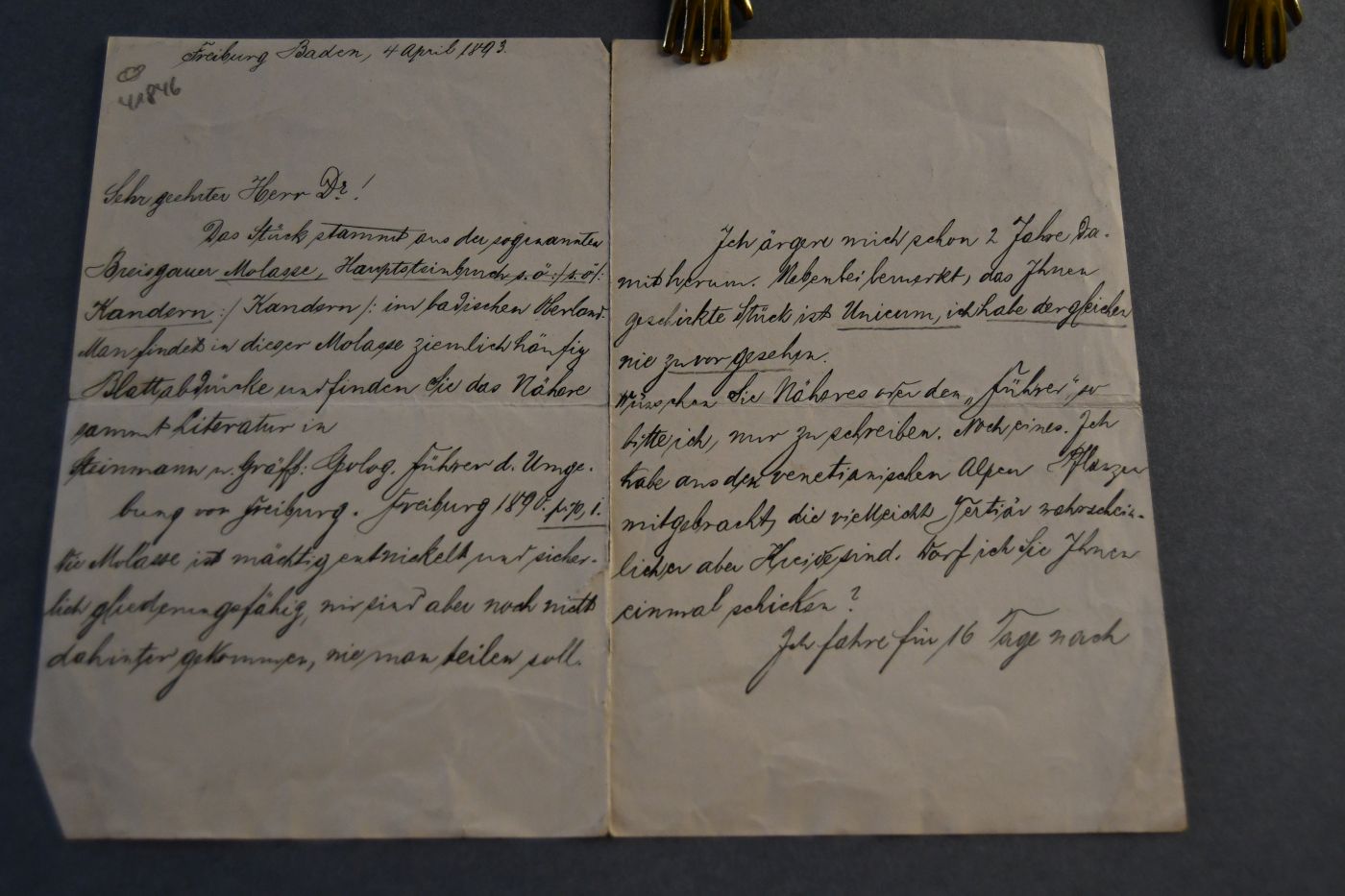 Schreiben des deutschen Geologen und Paläontologen Georg Boehm (1854-1913) vom 4. April 1893 an den Danziger Lehrer und Botaniker Konrad Lakowitz (1859-1945).