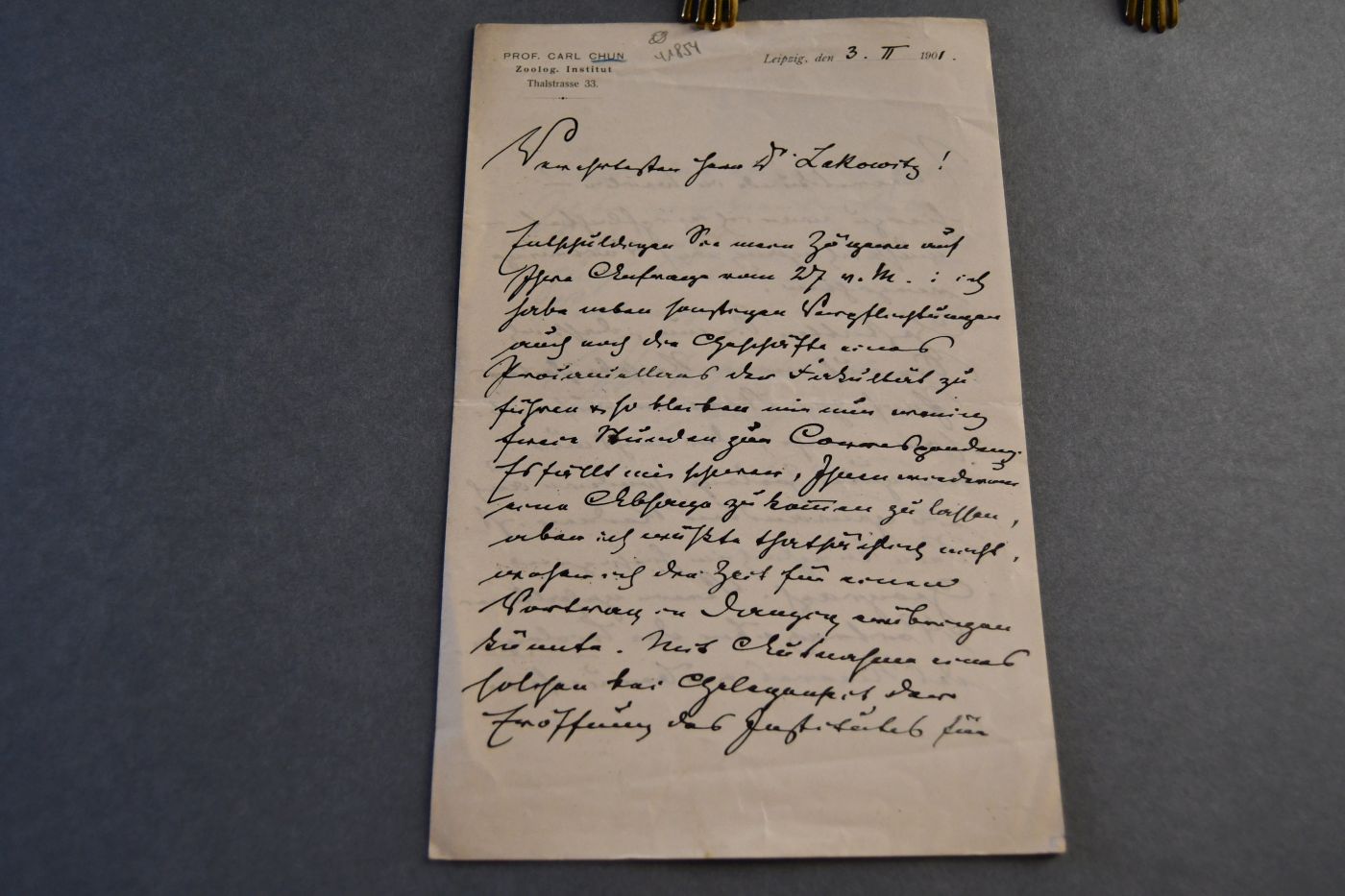 Handschriftlicher Brief deutschen Zoologen un d Tiefseeforschers Carl Chun (1852-1914) an den Danziger Lehrer und Botaniker Konrad Lakowitz (1859-1945) vom 3. Februar 1901.