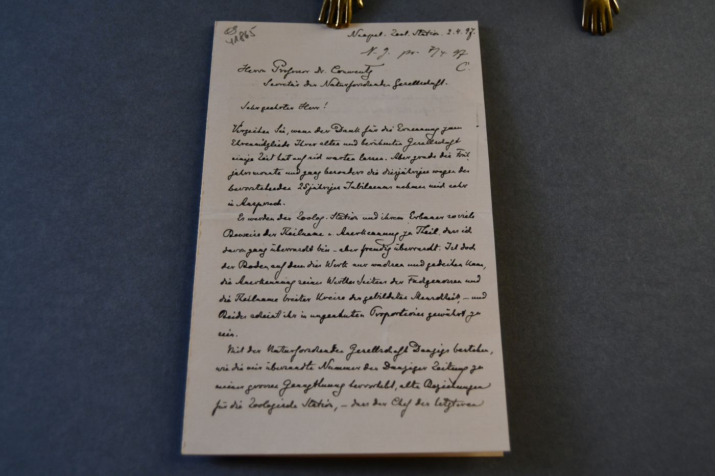 Handschriftlicher Brief des Zoologen Felix Anton Dohrn (1840-1909) an den deutschen Botaniker Hugo Wilhelm Conwentz (1855-1922) als Sekretär der Naturforschenden Gesellschaft Danzig vom 2. April 1897.