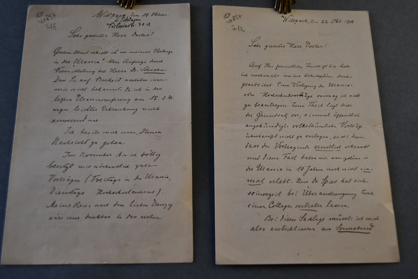 2 handschriftliche Briefe des deutschen Botanikers Carl Müller (1855-1907) vom 18.+22. Oktober 1902 an den deutschen Lehrer und Botaniker Konrad Lakowitz (1859-1945).