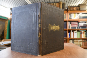 Jugendfreude. Ein illustriertes Sonntagsblatt f...