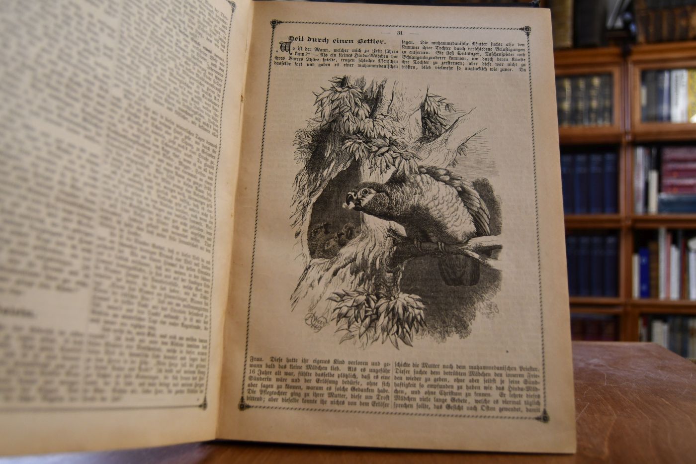 Jugendfreude. Ein illustriertes Sonntagsblatt für die Kinderwelt. 9. Jahrgang 1886.