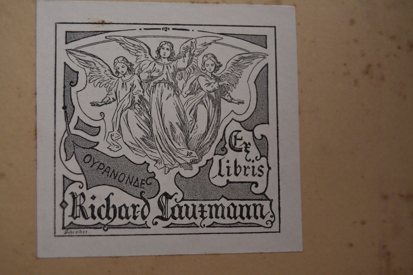 Jugendfreude. Ein illustriertes Sonntagsblatt für die Kinderwelt. 12. Jahrgang 1889.