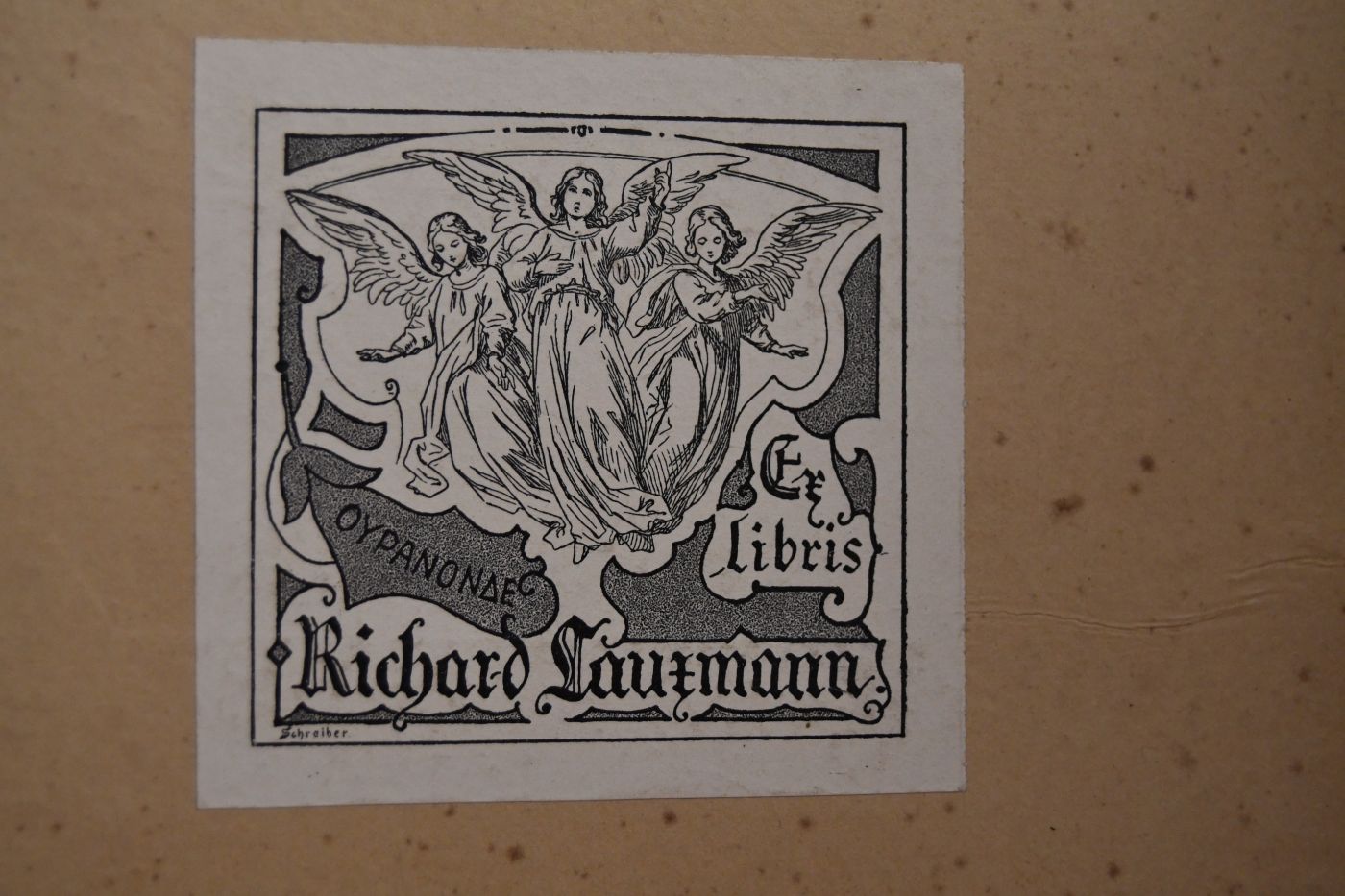 Jugendfreude. Ein illustriertes Sonntagsblatt für die Kinderwelt. 13. Jahrgang 1890.
