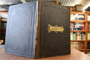 Jugendfreude. Ein illustriertes Sonntagsblatt f...