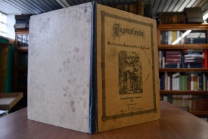 Jugendfreude. Ein illustriertes Sonntagsblatt f...