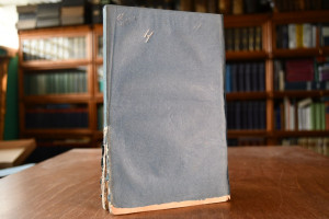 Jahresbericht des Vereins für mecklenburgische ...