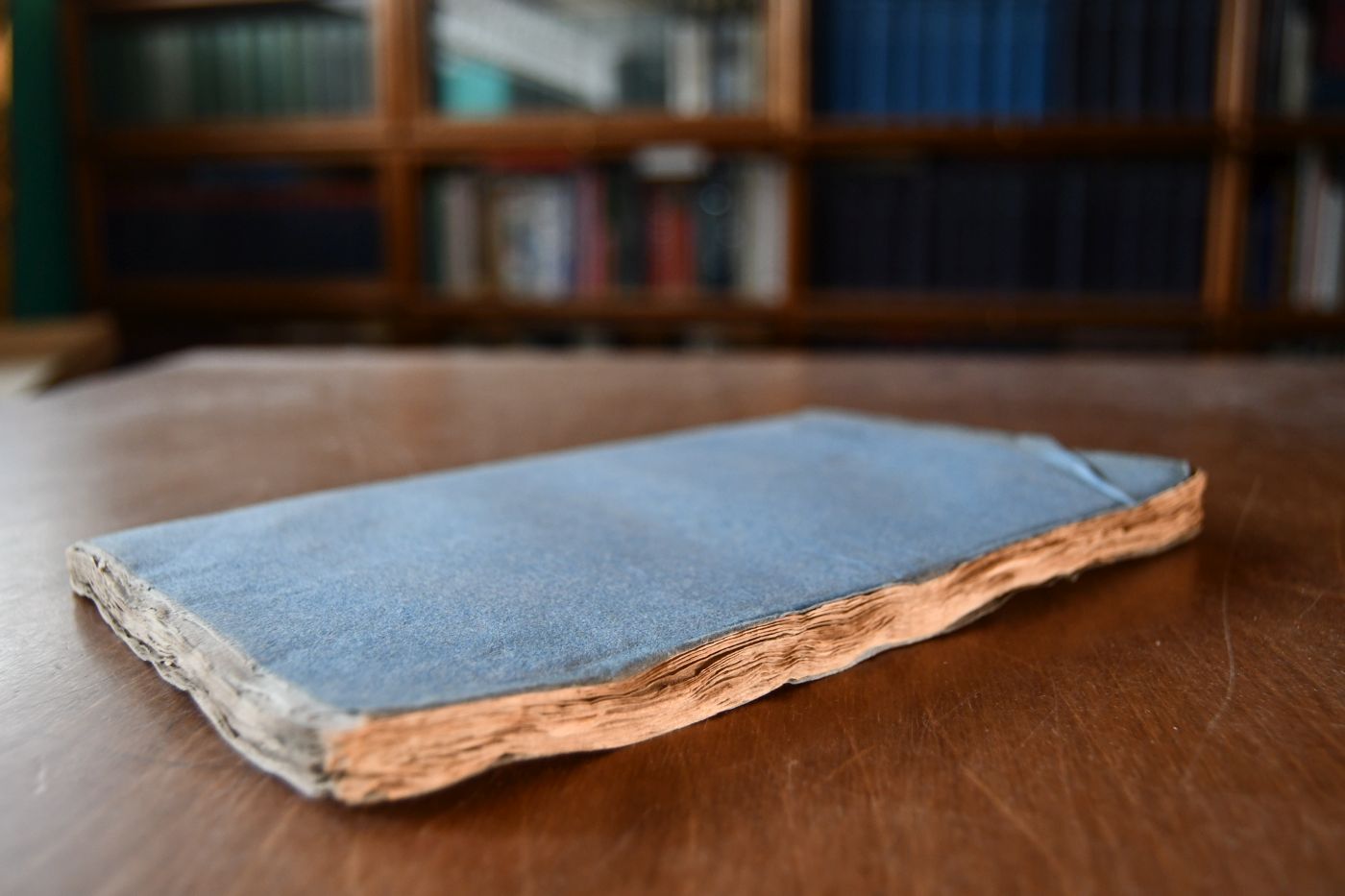 Jahresbericht des Vereins für mecklenburgische Geschichte und Alterthumskunde, aus den Arbeiten des Vereins. 6. Jahrgang.