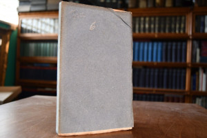 Jahresbericht des Vereins für mecklenburgische ...