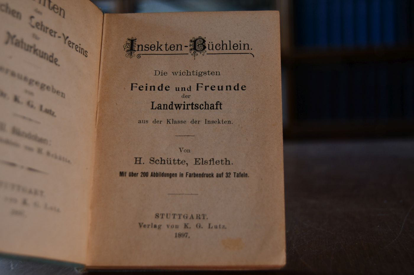 Insekten-Büchlein. Die wichtigsten Feinde und Freunde der Landwirtschaft aus der Klasse der Insekten.