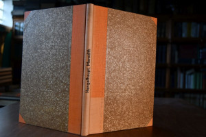 Die Personifikation bei George Meredith.