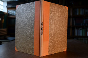 George Meredith`s Jugenwerke und ihre Bedeutung...