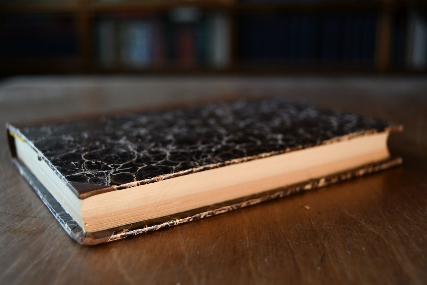 Life`s little ironies. A set of tales with some colloquial sketches entitled a few crusted characters.