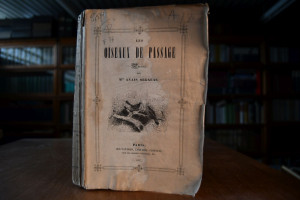 Les Oiseaux de Passage. Poesies.