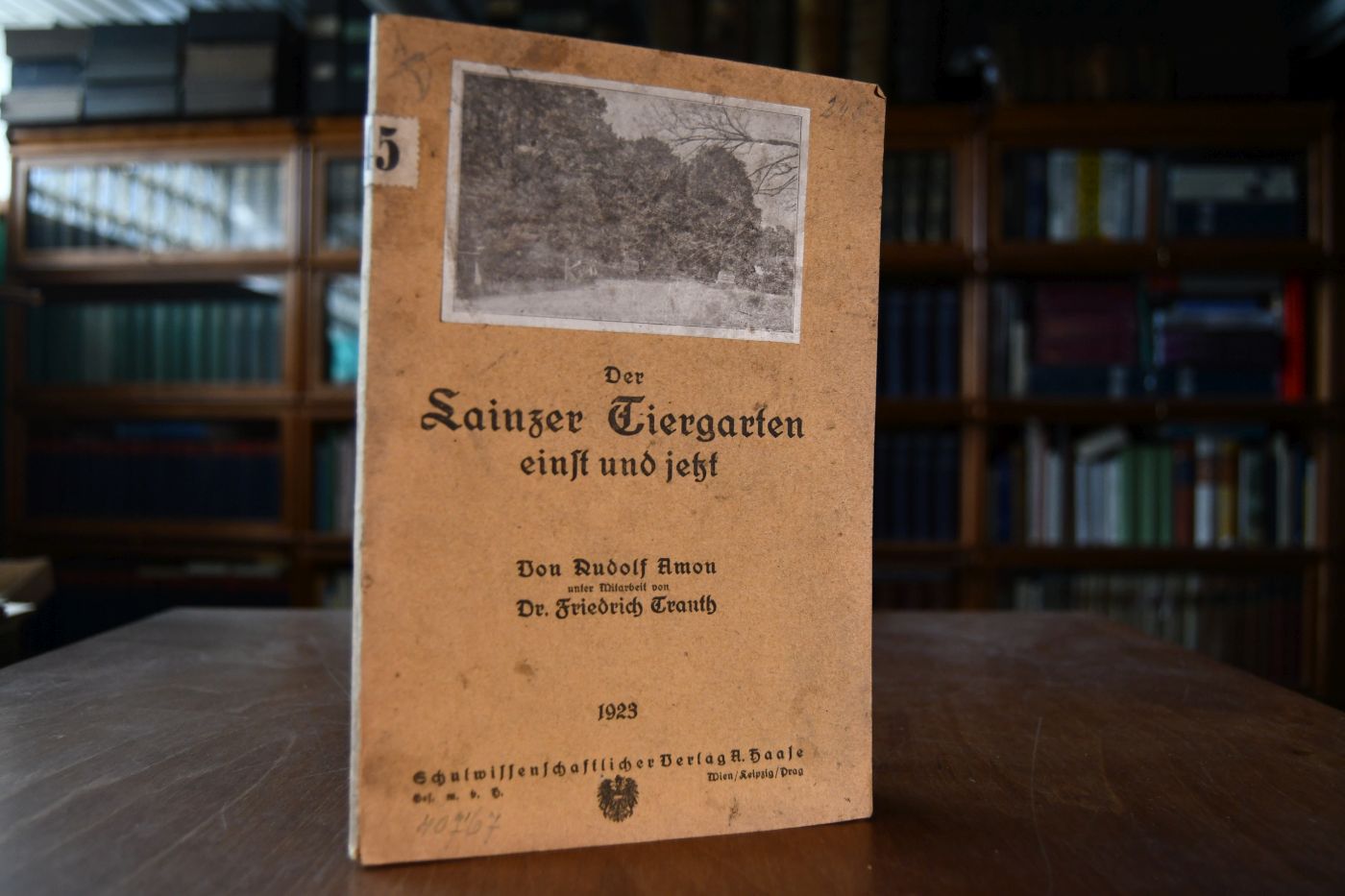 Der Lainzer Tiergarten einst und jetzt.