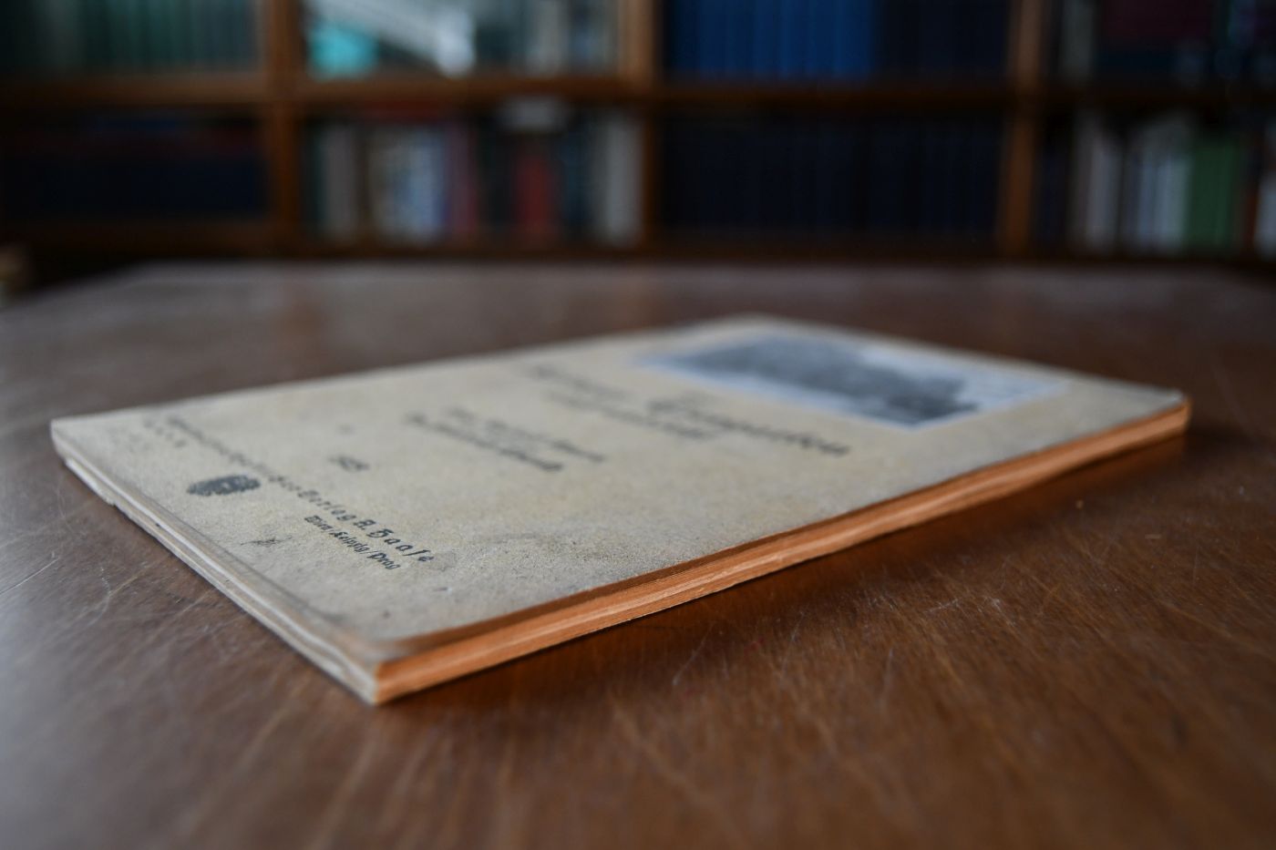 Der Lainzer Tiergarten einst und jetzt.