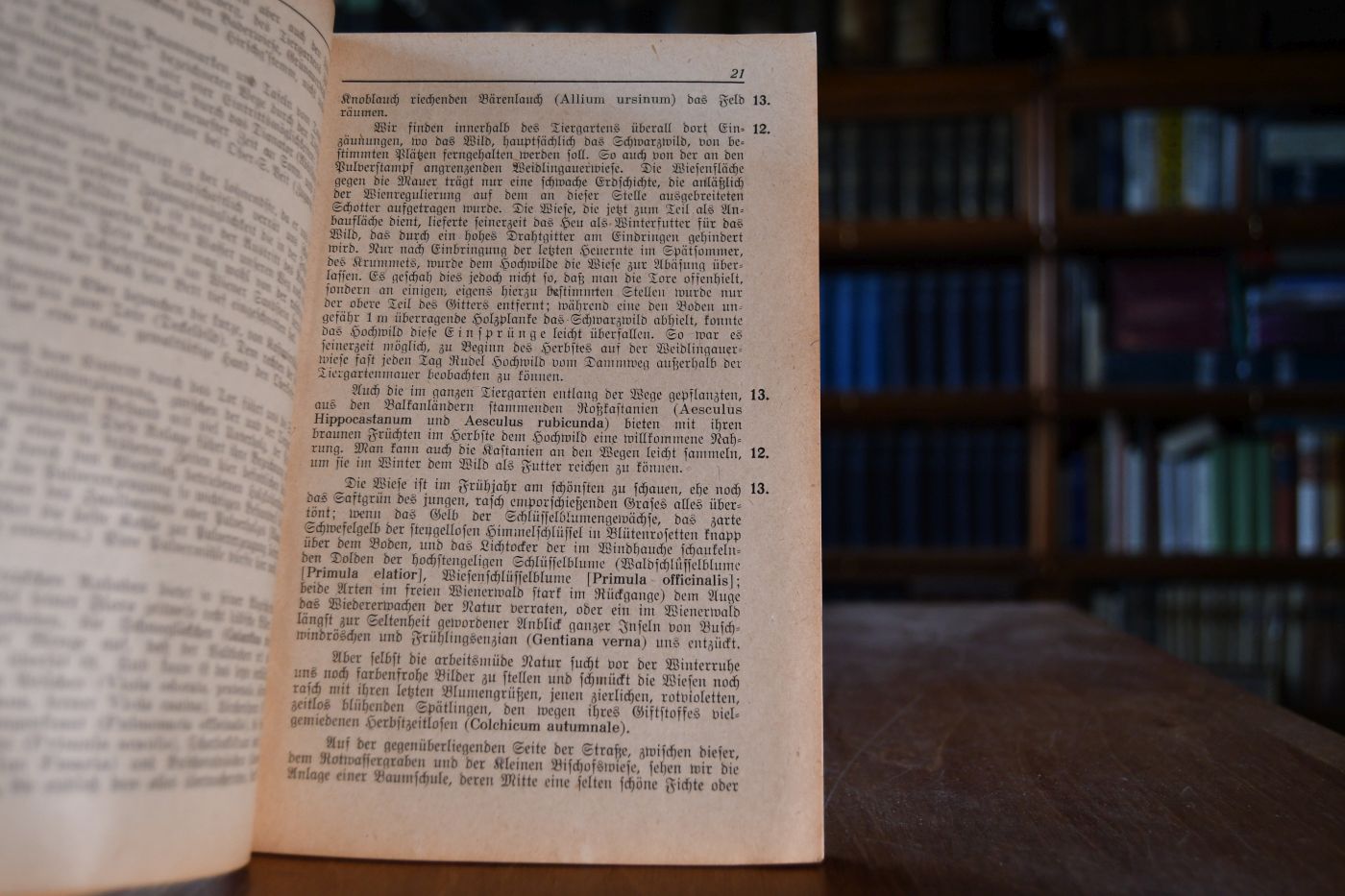 Der Lainzer Tiergarten einst und jetzt.