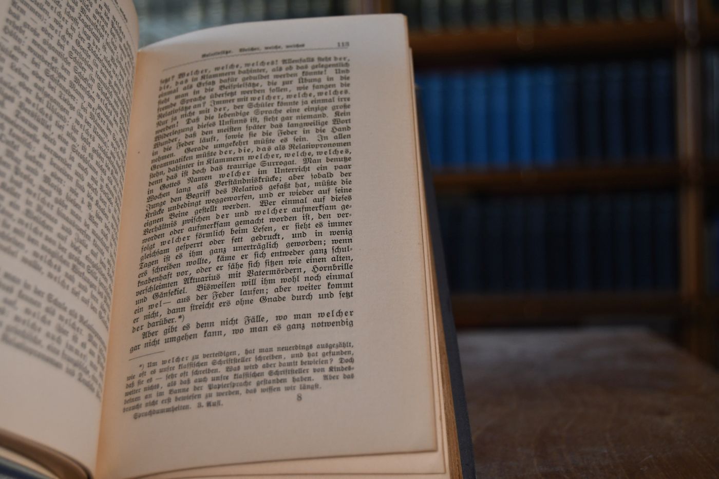 Allerhand Sprachdummheiten. Kleine Deutsche Grammatik des Zweifelhaften, des Falschen und des Häßlichen. Ein Hilfsbuch für alle, die sich öffentlich der deutschen Sprache bedienen.