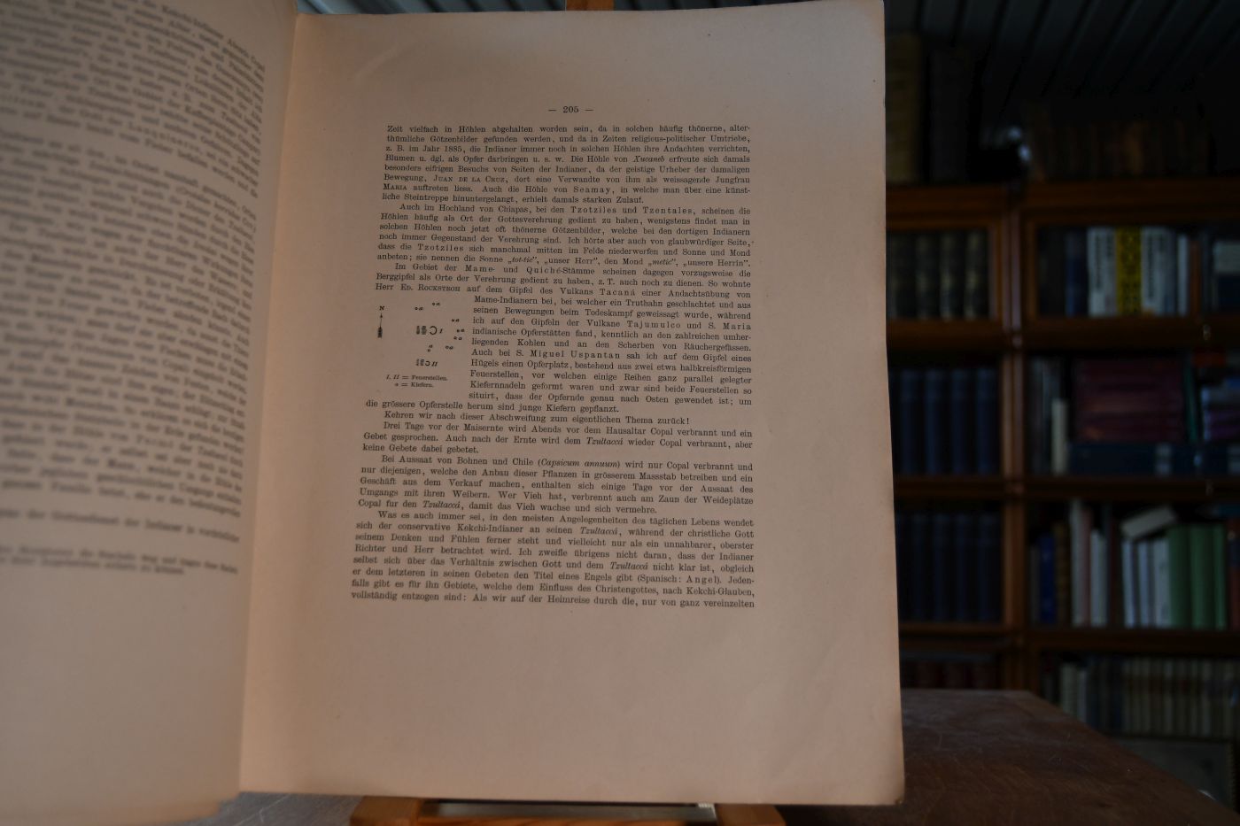 Internationales Archiv für Ethnographie. Bd. VIII, Heft V + VI.
