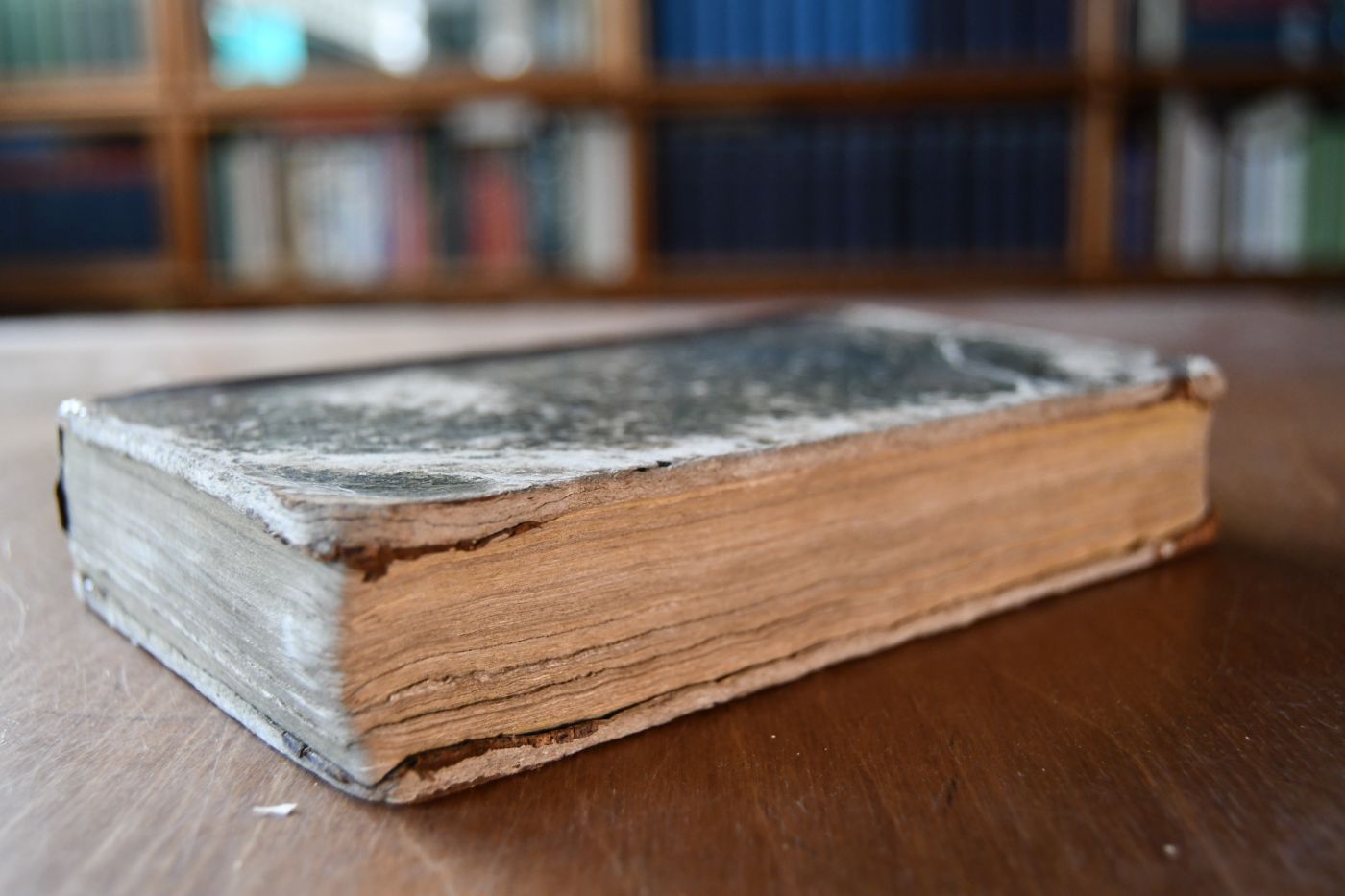 Christkatholisches Gesang- und Andachtsbuch zum Gebrauche bei der öffentlichen Gottesverehrung in dem (ehemaligen) Bisthum Constanz.