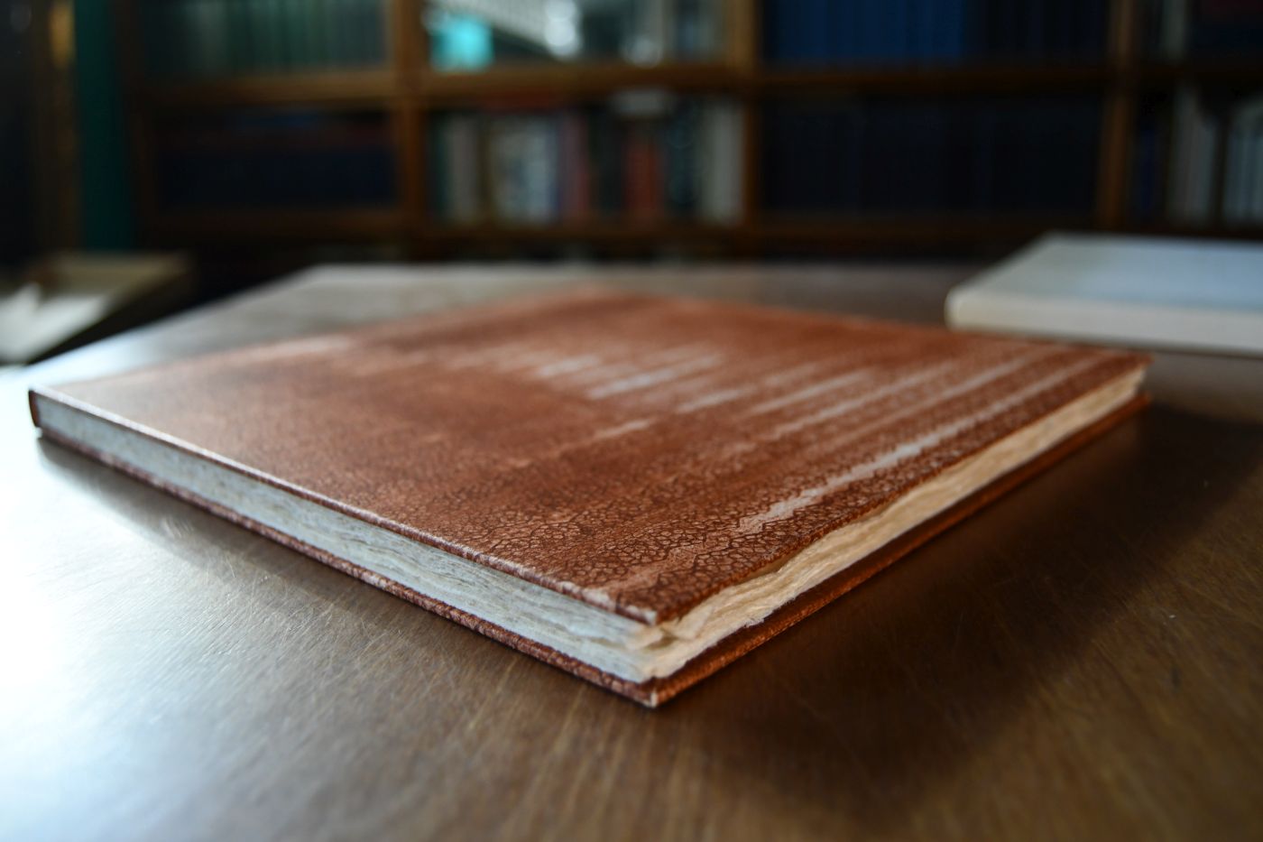 Der Pfauenstrauch. Eine Novelle.