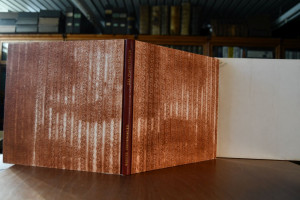 Der Pfauenstrauch. Eine Novelle.