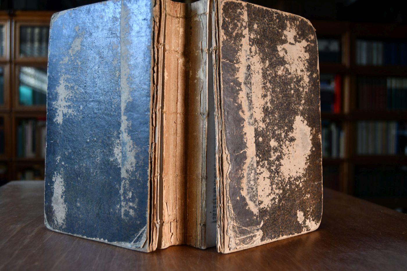 Biblische Real- und Verbal-Concordanz oder alphabetisch geordnetes biblisches Handbuch ... zunächst für Religionslehrer sodann für jeden gebildeten Bibelfreund. 2. Bandes 2. Abtheilung R-Z.