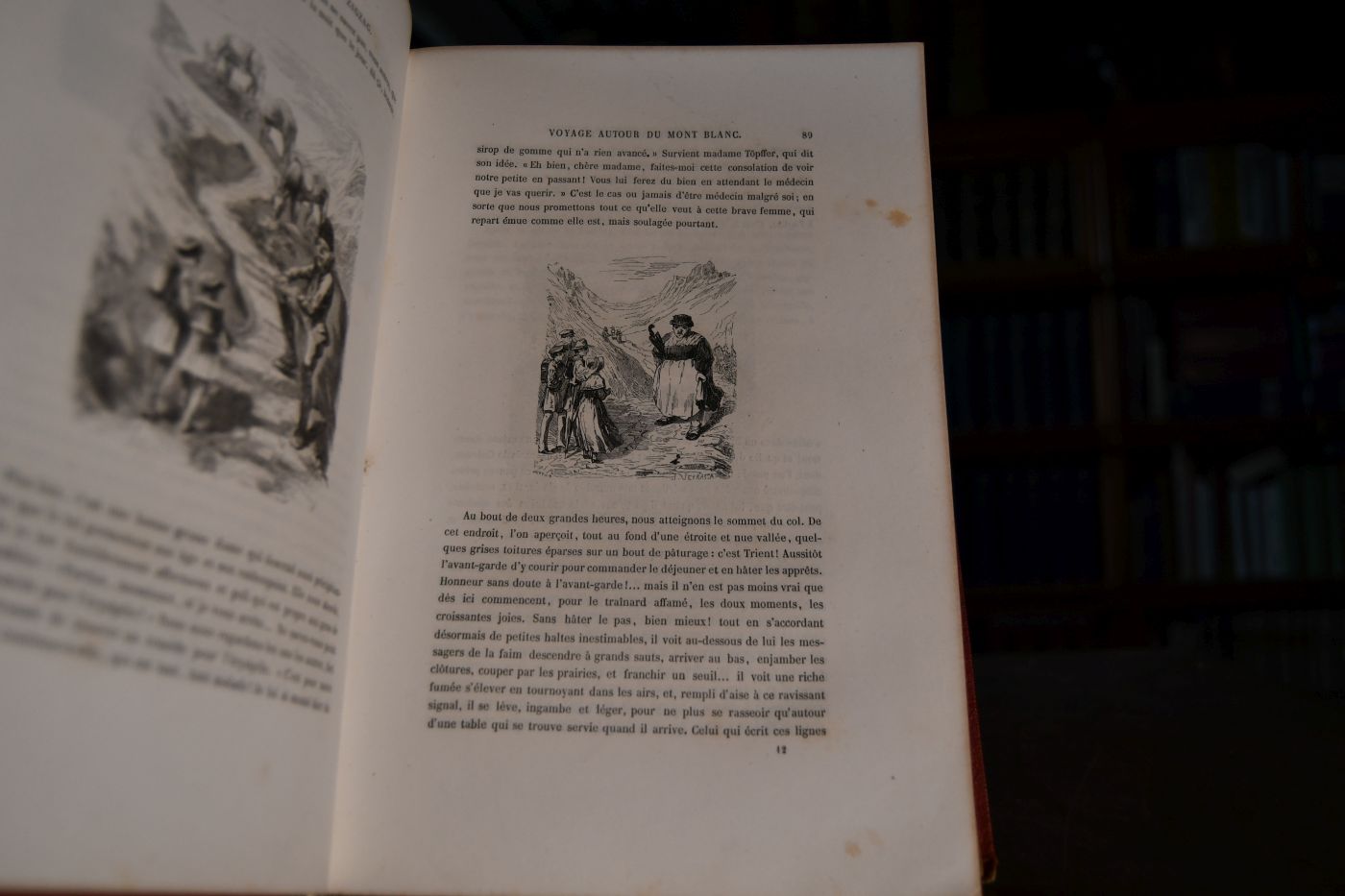 Nouveaux voyages en Zigzag. A la Grande Chartreuse, autour du Mont-Blanc, dans les vallées d`Herens, de Zermatt, au Grimsel, à Gênes et à la Corniche.