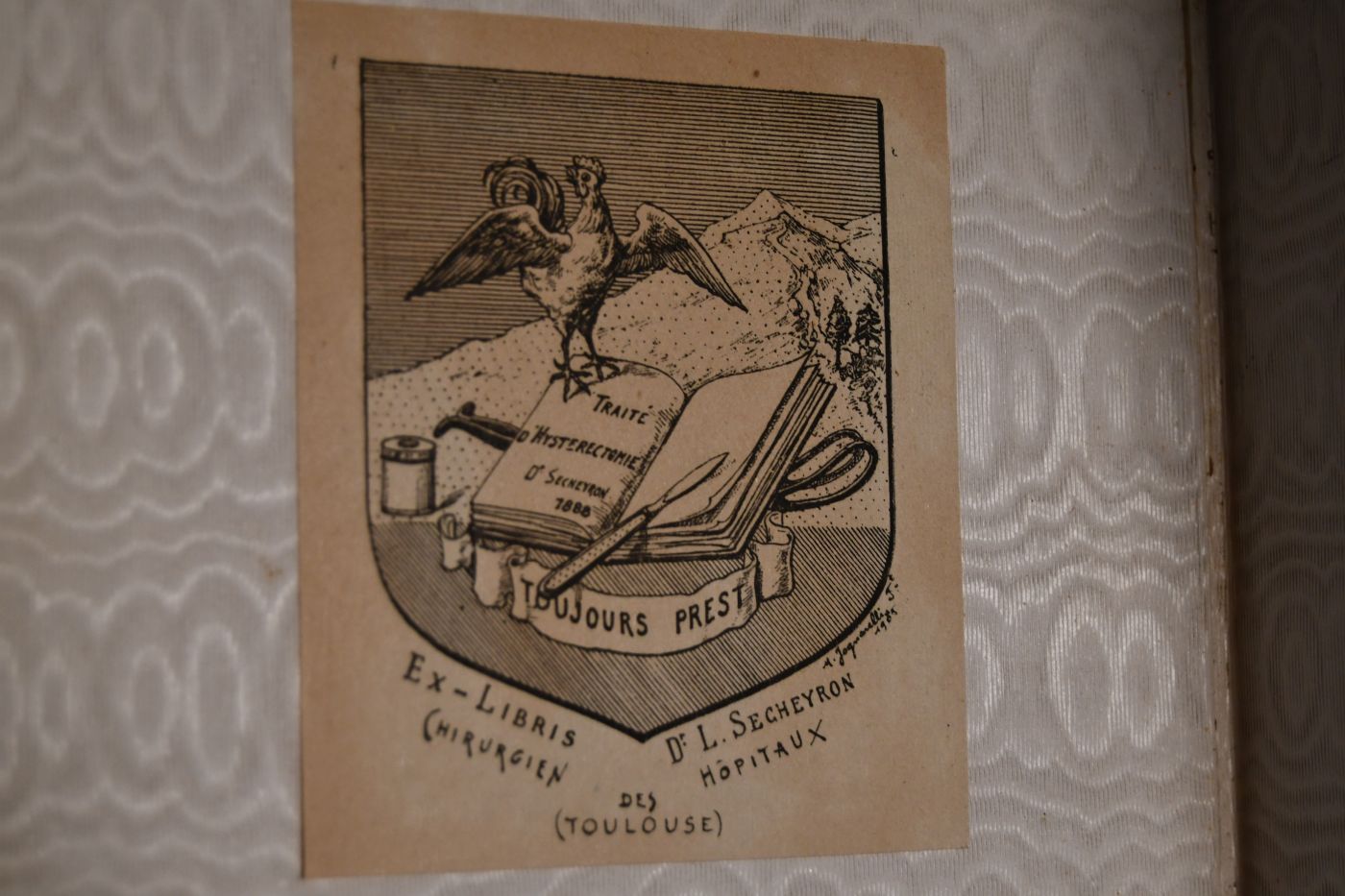 Nouveaux voyages en Zigzag. A la Grande Chartreuse, autour du Mont-Blanc, dans les vallées d`Herens, de Zermatt, au Grimsel, à Gênes et à la Corniche.