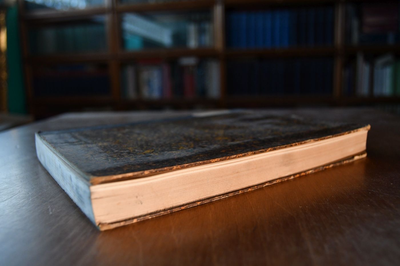 Grundriss der sozialen Hygiene.