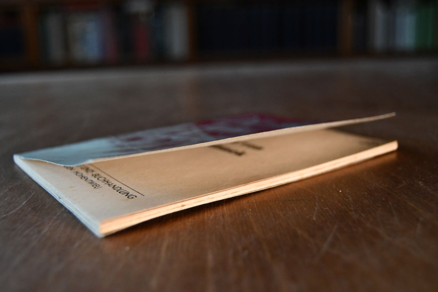 Die Hölle von Maidanek.