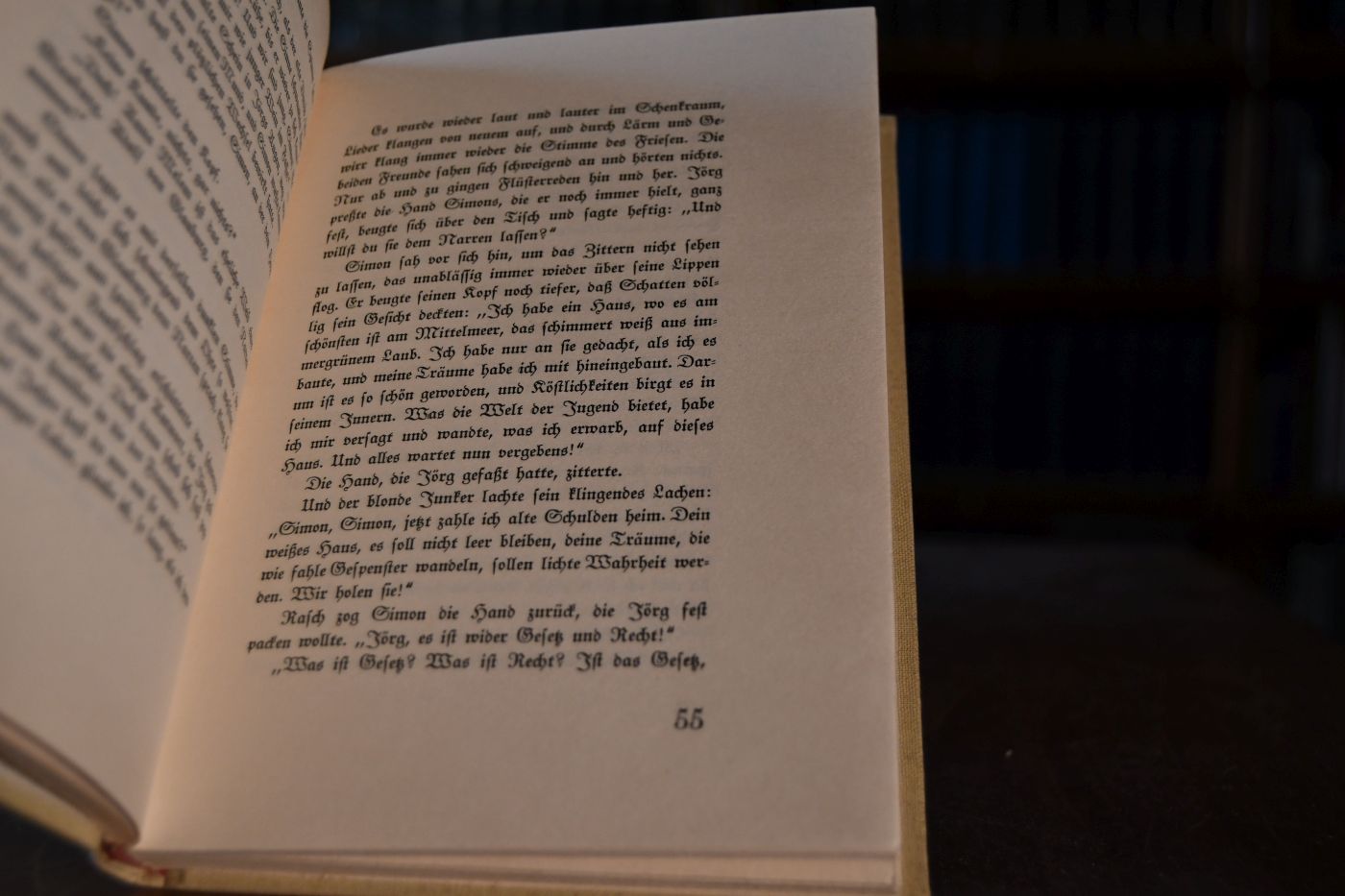 Das Rattenhäuschen. Eine Frankfurter Novelle.